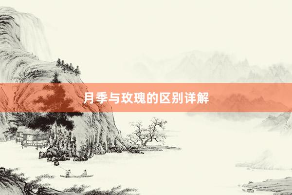 月季与玫瑰的区别详解