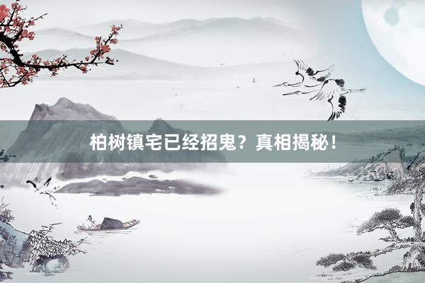 柏树镇宅已经招鬼？真相揭秘！