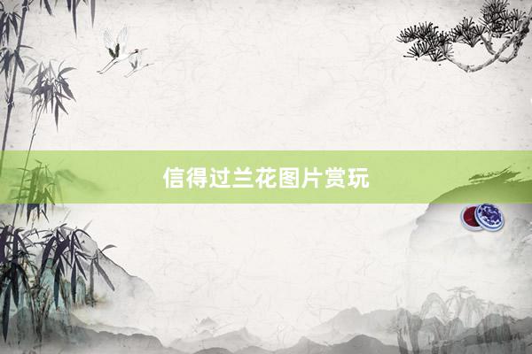 信得过兰花图片赏玩