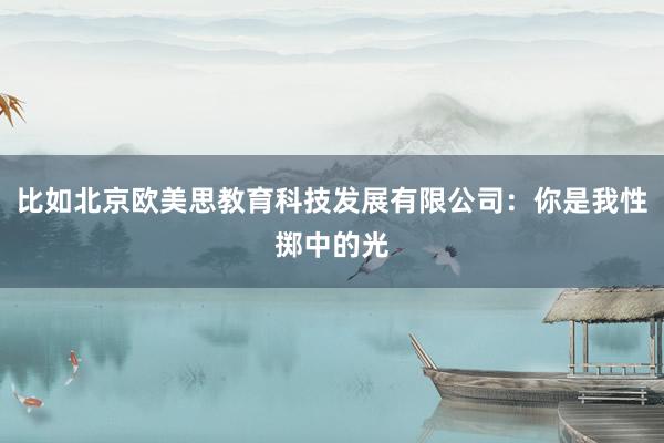 比如北京欧美思教育科技发展有限公司：你是我性掷中的光